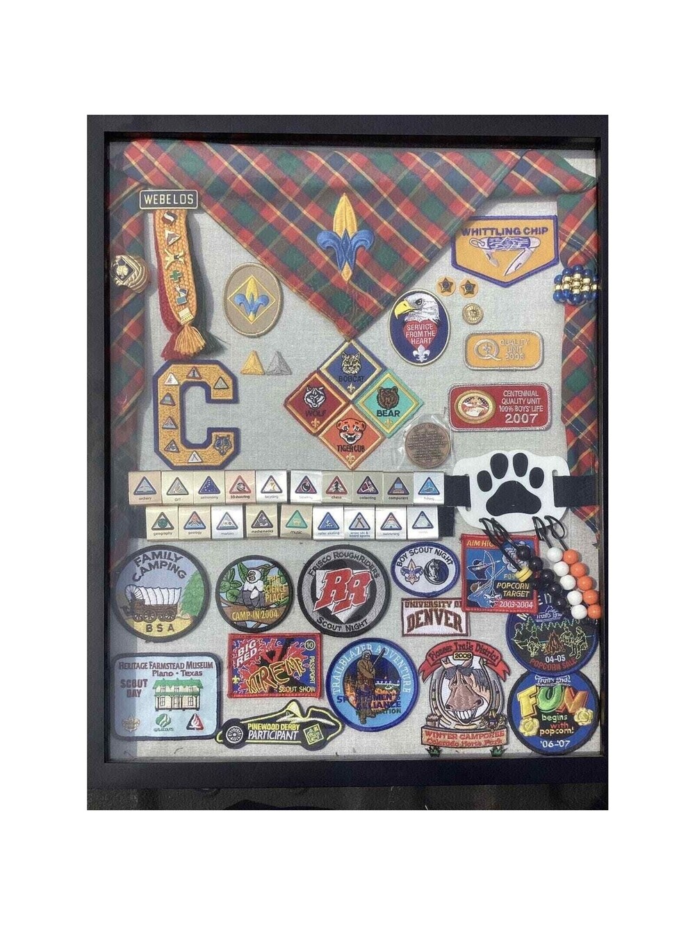 GLASS Framed & Mounted 2000s Webelos Boy Cub Scout Badges Pins Metals Coin BSA